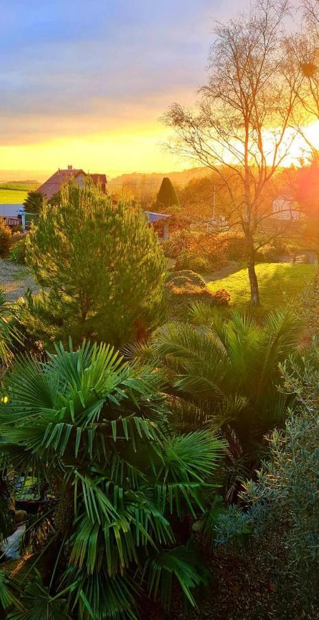 La Pichonniere Bed & Breakfast Isigny-le-Buat Eksteriør bilde