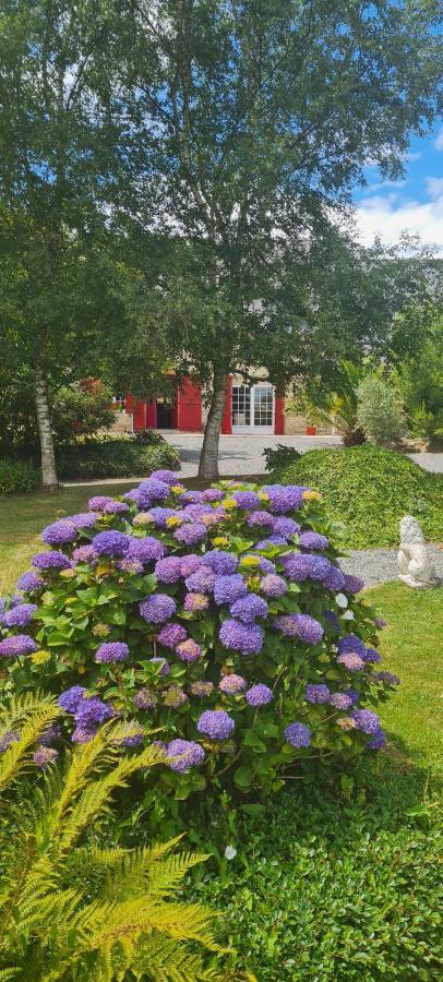 La Pichonniere Bed & Breakfast Isigny-le-Buat Rom bilde